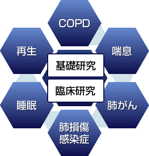 研修中取得可能な主な専門医